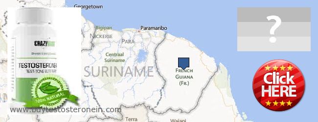 Πού να αγοράσετε Testosterone σε απευθείας σύνδεση French Guiana